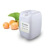 Detoxification Natural Hydrosol Ginkgo Biloba Leaf Extract OEM/ODM