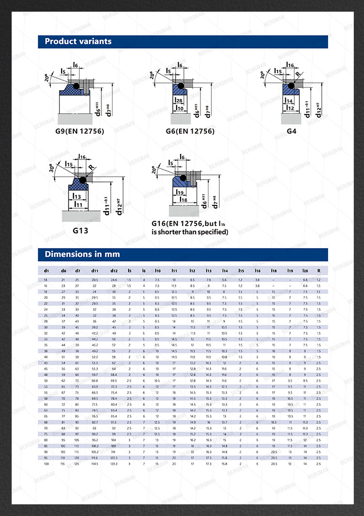 BERGMAN 58U 59U 24mm-80mm Lixin Dyeing Machine Pump Mechanical Seal