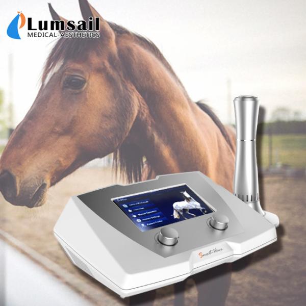 Cheap Veterinary Equine Shockwave Machine For Animals Soft Issue / Tendon Injury for sale