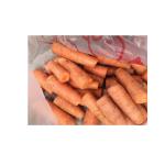 green beans peas Broad bean peeling washing freezing machine cow pea kidney bean