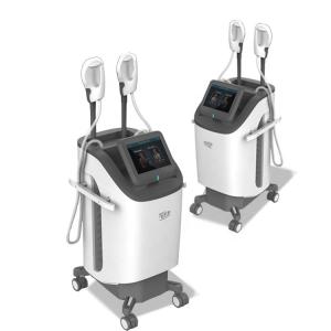 Quality Fat Reduction Multifunction Beauty Machine Helping Blood Circulation High Efficiency wholesale