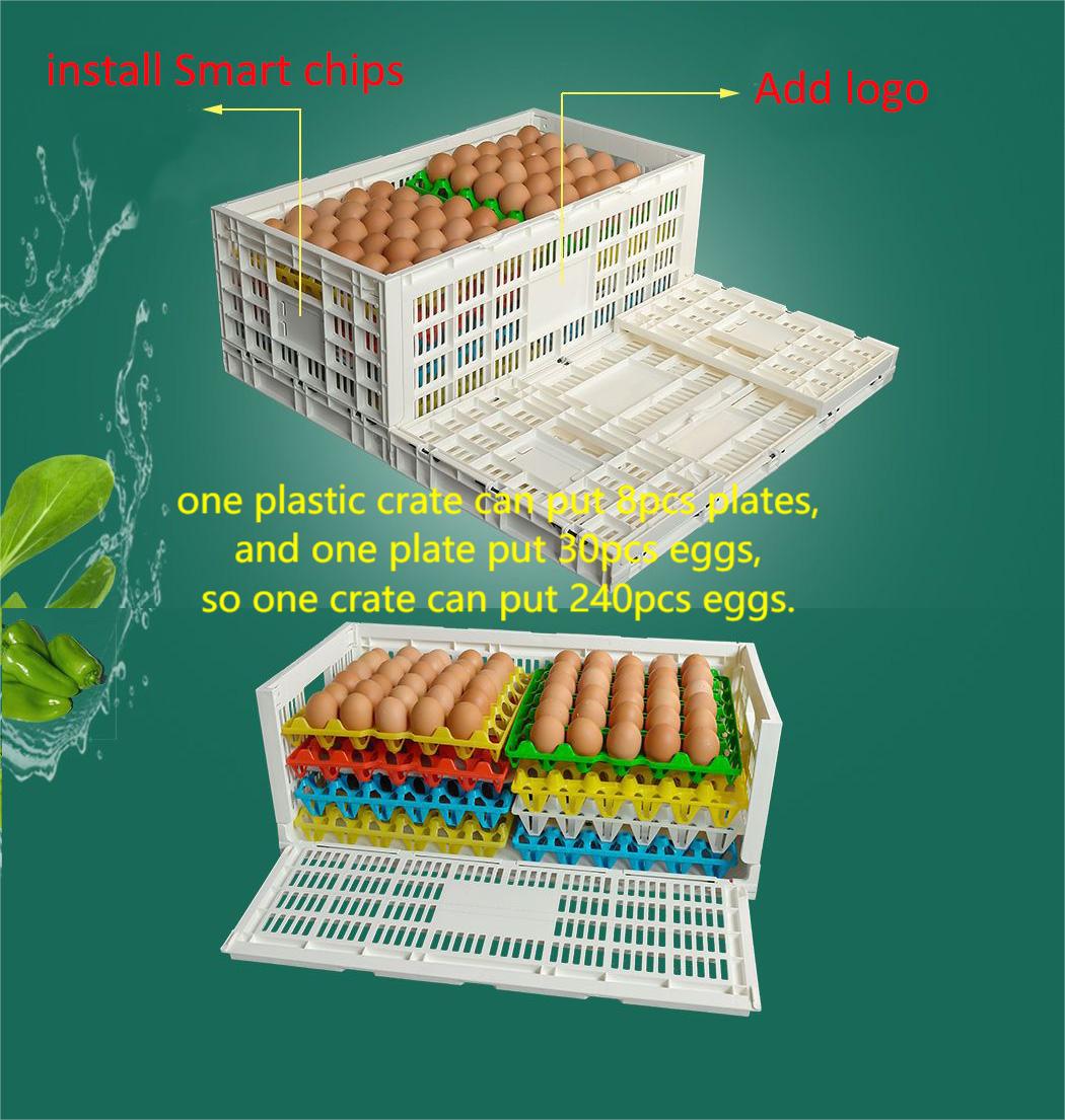 Foldable and Collapsible Egg Crate Meshy Box for Convenient Egg Transportation Solutions