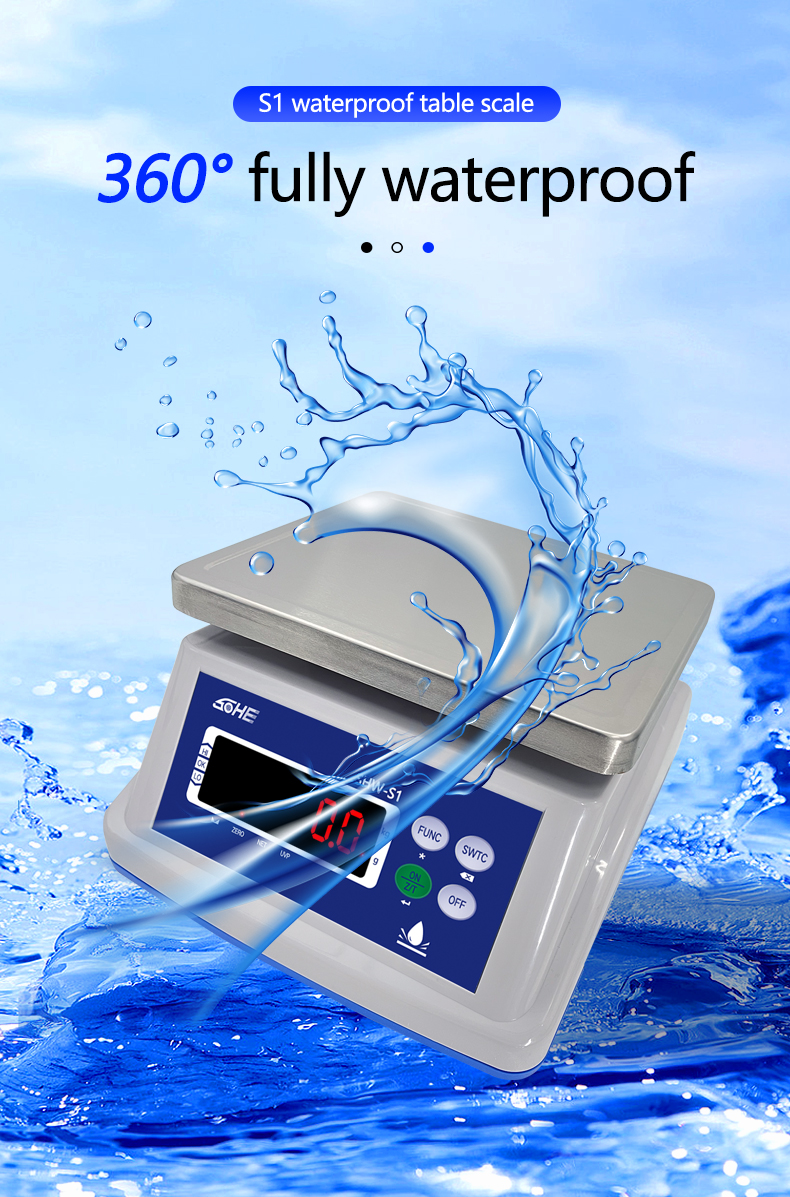 Double Layer Structure 30KG Waterproof Scale with Precision Sensor and LED Display
