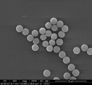 Quality 200 Nm Streptavidin Biotinylated Antibodies With Effectively For Immunoassay wholesale