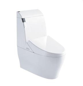 Quality Ceramic white new design S-trap composting toilet wholesale