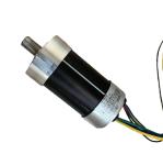 Massage Vibration Dc Motor 10v 12v 20v 24v used for Vibrating Massager Medical