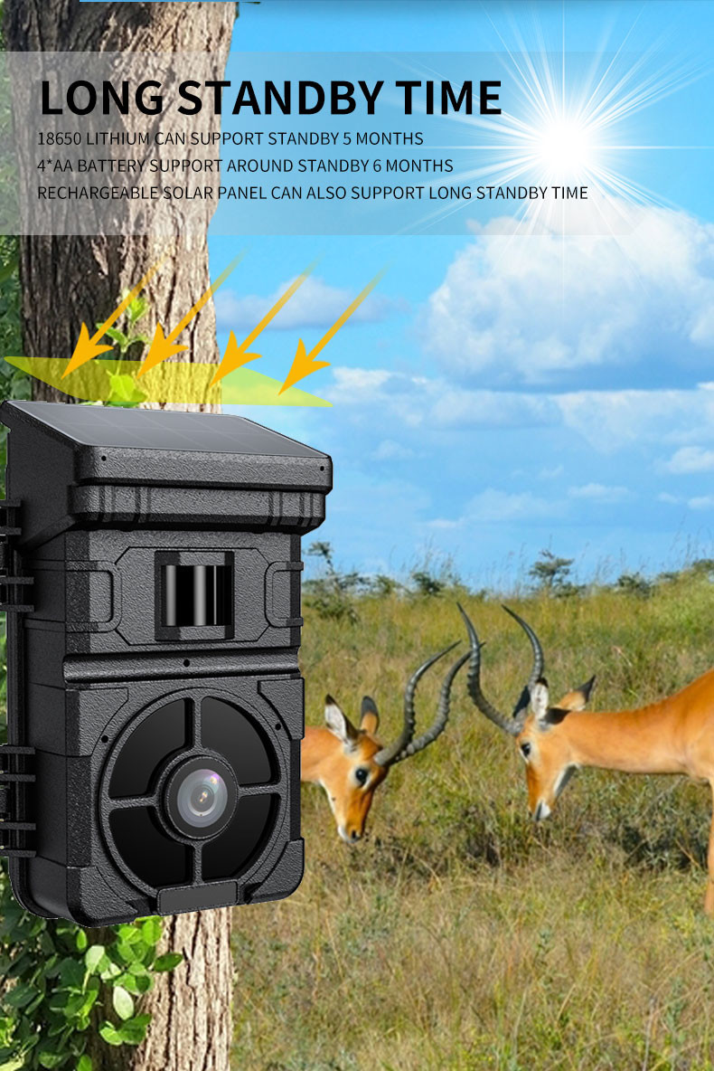 4G FOV 90 Degree Animal Hunting Game Camera IP65 24MP With 0.4S Fast Triggering Time
