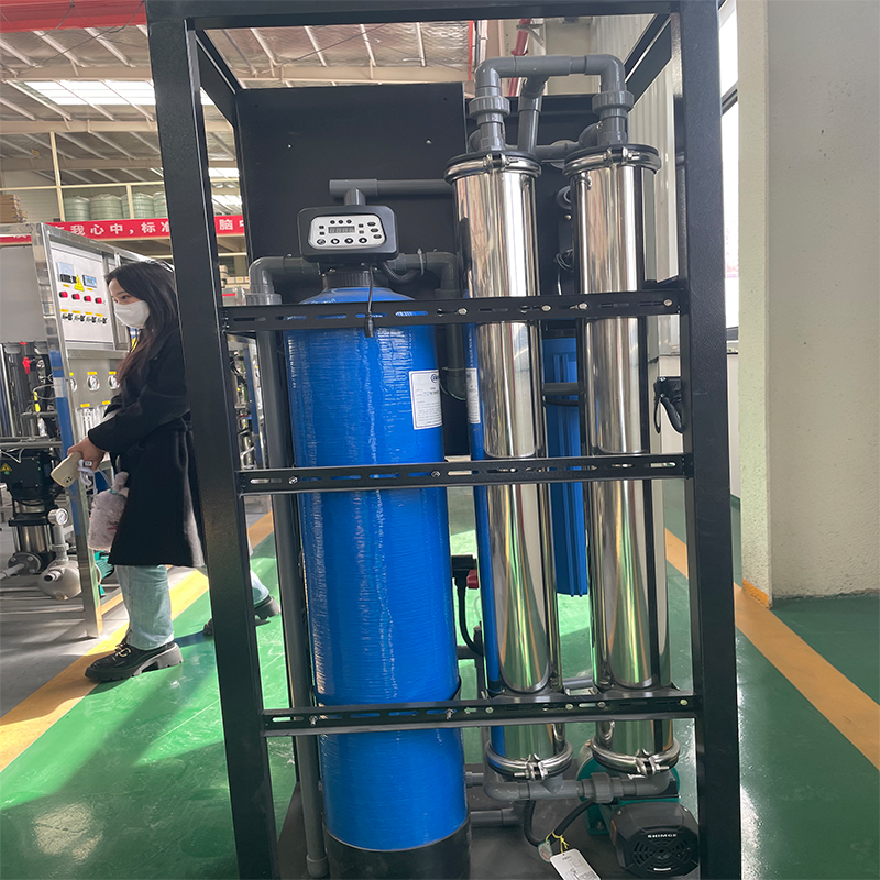 Mini Reverse Osmosis Water Filter Purification System with 500L/Hour Productivity