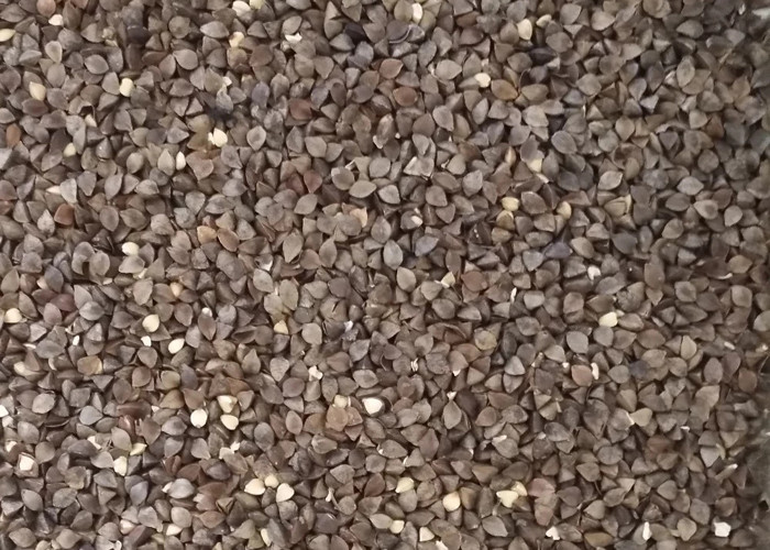 Recycled Wheat Color Sorter 1 Channels Dual 5388 Px Full Color For Buckwheat