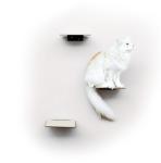 Standard Copper Cat Wall Plate Shelves Steps for Wall Mounted Cat Scratching