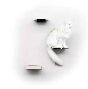 Quality Standard Copper Cat Wall Plate Shelves Steps for Wall Mounted Cat Scratching Platform wholesale