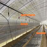 BAOLIDA Economic Agricultural Black Shade Net Tunnel Film Greenhouse For