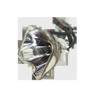 Quality VT480 VT490 VT491 VT495 VT595 VT695 NEC Projector Bulbs wholesale