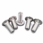 Polishing Hardware Round Head Square Neck Bolt High Tensile Strenth