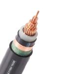 Xlpe Insulation Round Wire Medium Voltage Copper/Aluminum Power Cable for