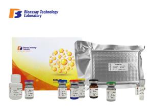 Quality Non - Esterified Fatty Acid Bovine ELISA Kits For Research High Precision wholesale