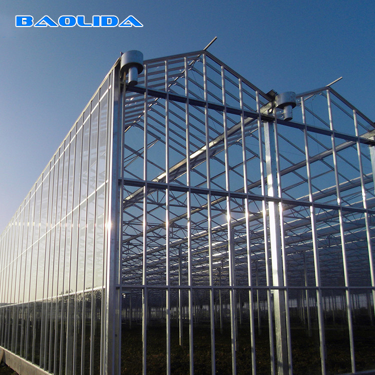 Large Size Generator Plastic Sheet Greenhouse With Project Commercial Hydroponic Systems