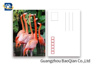 Quality Promotion Cartoon 3d Lenticular Postcard / Flip Lenticular Image Printing wholesale