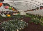 Vegetables Flowers Plastic Film Greenhouse Light Deprivation Roof Vents