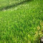 Artificial Turf Grass Home Outward Kids Playing 100 Percent Permeable
