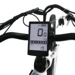 20 Inch Wheel Disc Brake Cargo E Bike 48V 500W With 14.5Ah 21Ah 24.5Ah Lithium