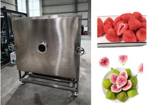 Quality Air Cooled Vegetable Freeze Drying System Lyophilizer Machine wholesale