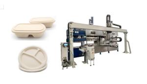 Quality Automatic Sugarcane Bagasse Pulp Sustainable Disposable Fast Food Tray Machine wholesale