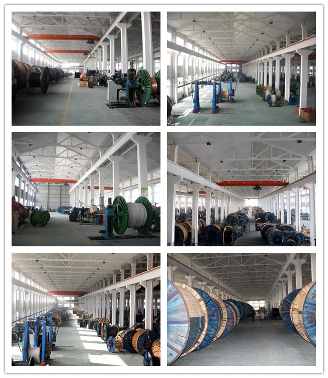 450 Electrical Wires And Cables Copper Bv Cable Indoaor BV/BVR/RV/RVB