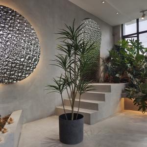 Quality Round Recycled Plastic Planters Lightweight for Planting Seedling wholesale