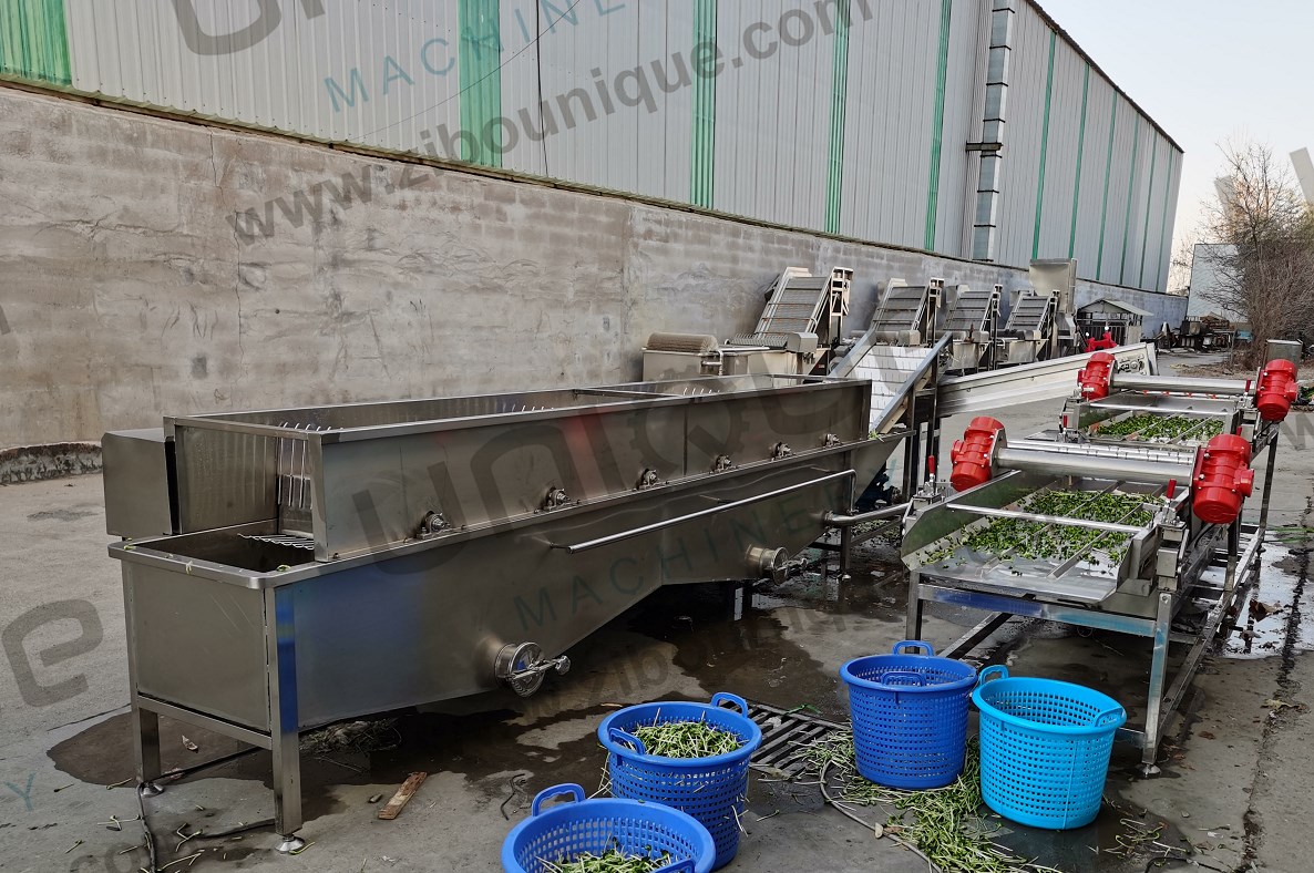 Zibounique 5900*1760*1600 mm Mung Bean Sprout Husk Removing and Skin Peeling Machine