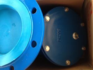 Quality DIN Y strainer Flanged ends wholesale