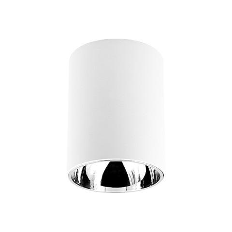 50 watts IP65 waterproof LED surface mounted downlight meanwell driver