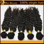 Unprocessed Brazilian Remy Human Hair Extensions , Virgin Deep Wave Hair
