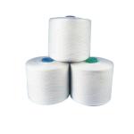 20S/2 20S/3 40S/2 Raw White 100% Polyester Spun Yarn
