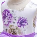 Hot Sale Toon Purple Girl Dress Bow Belt Printed Mesh Gown Princess Dress Tutu
