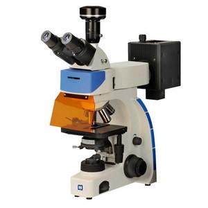 Quality Digital Trinocular Fluorescence Microscope LF-302 wholesale
