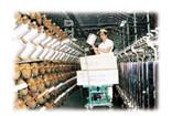 Quality ISO Carbon Steel 1400*2200mm Scissor Lift Equipment wholesale
