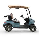 NL-G2020 48V 5KW Golf Cart Car 2 Passenger with Max. Speed 15.5mph 25khp and
