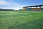 Natural Garden Landscape Artificial Synthetic Turf Grass 14000 Dtex
