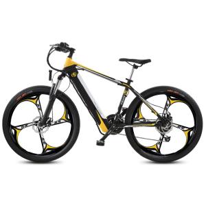 Quality 27kg 750 Watt Electric Mountain Bike 48V Mountain Bike With Battery Assist wholesale