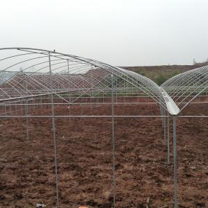 Quality Multi Arch Plastic Film Rainout Shelter Greenhouse For Strawberry wholesale