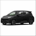 Maximum Speed 130 Km/H EV Carro 2024 Chinese BYD Seagull 405km Mini Electric Car