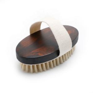 Quality Smell Removing Bath Shower Brush Exfoliation Scrubber Bath Brush wholesale