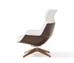 Fiberglass Shell Modern Lounge Chair