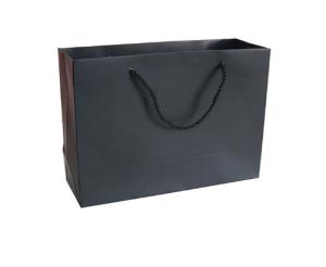 Quality Flexographic Printed Paper Shopping Bags wholesale