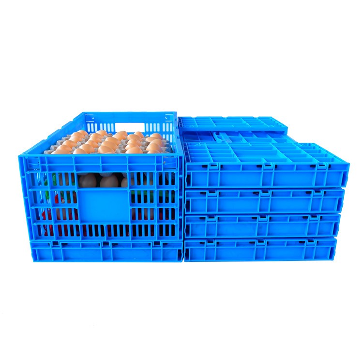 Chicken Transport and Egg Storage Collapsible Plastic Crate with Storange Function
