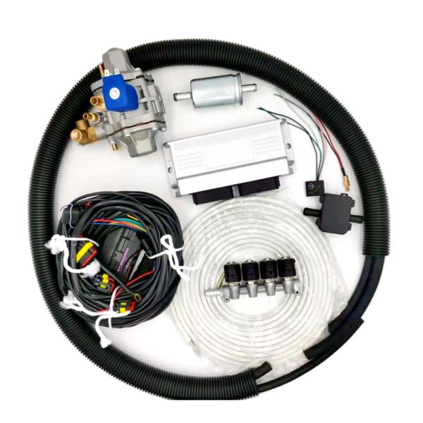 Natural Gas CNG LPG Conversion Kits For EFI Petrol Cars Multipoint Fuel