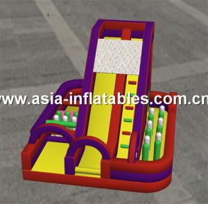 Quality Fantastic Inflatable Obstacle Challenges, Kids Inflatable Playground wholesale