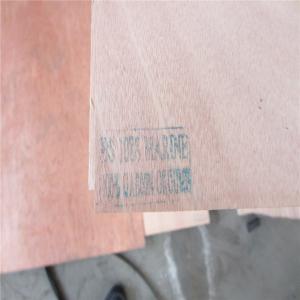 Quality 4X8 Ft Marine Okoume Plywood wholesale