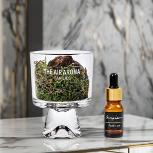 Quality Exquisite Boxed Gift Packaging 100ml Reed Diffuser Luxury Moss-Inspired Scented Oil wholesale